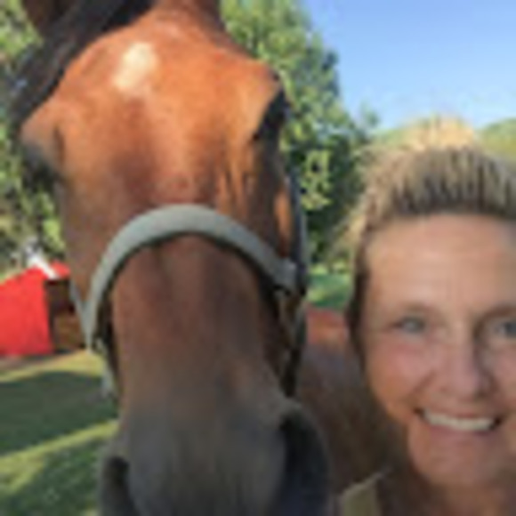 last_horse_on_t